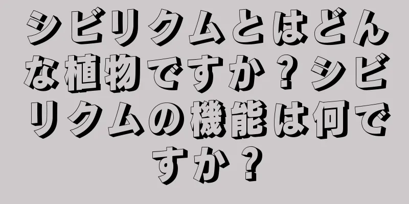シビリクムとはどんな植物ですか？シビリクムの機能は何ですか？