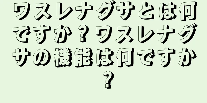 ワスレナグサとは何ですか？ワスレナグサの機能は何ですか？