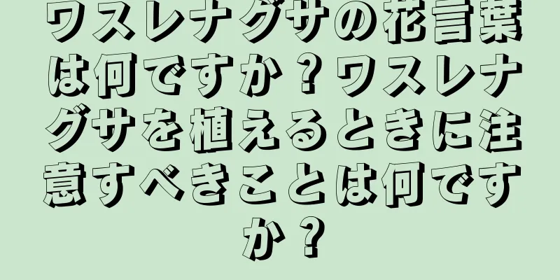 ワスレナグサの花言葉は何ですか？ワスレナグサを植えるときに注意すべきことは何ですか？