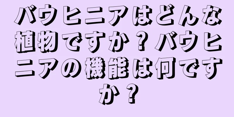 バウヒニアはどんな植物ですか？バウヒニアの機能は何ですか？