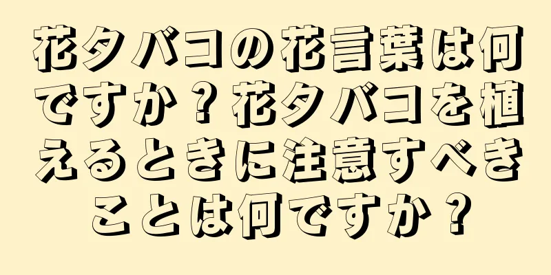 花タバコの花言葉は何ですか？花タバコを植えるときに注意すべきことは何ですか？
