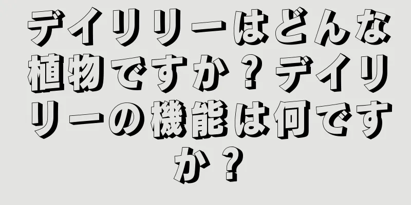 デイリリーはどんな植物ですか？デイリリーの機能は何ですか？