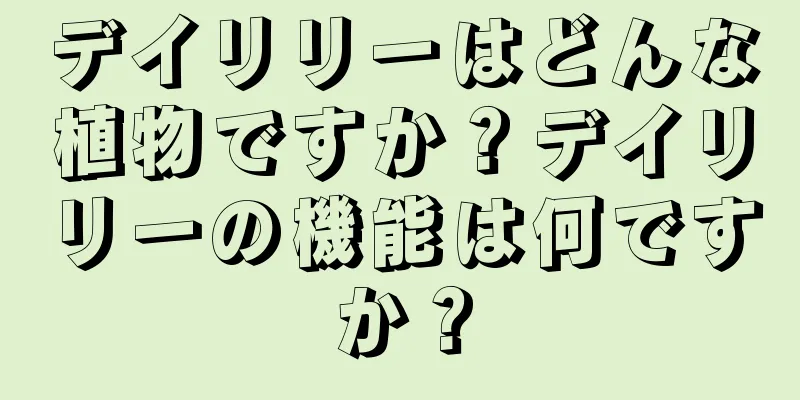 デイリリーはどんな植物ですか？デイリリーの機能は何ですか？