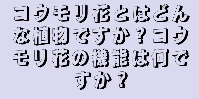 コウモリ花とはどんな植物ですか？コウモリ花の機能は何ですか？