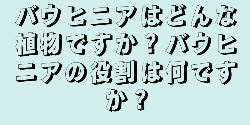 バウヒニアはどんな植物ですか？バウヒニアの役割は何ですか？