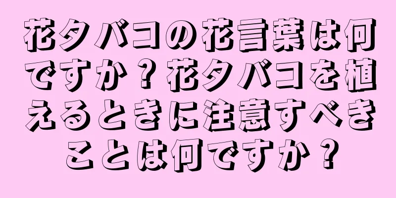 花タバコの花言葉は何ですか？花タバコを植えるときに注意すべきことは何ですか？