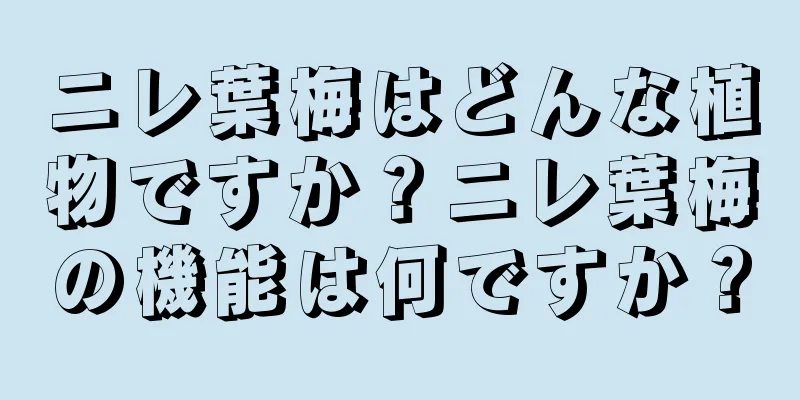 ニレ葉梅はどんな植物ですか？ニレ葉梅の機能は何ですか？
