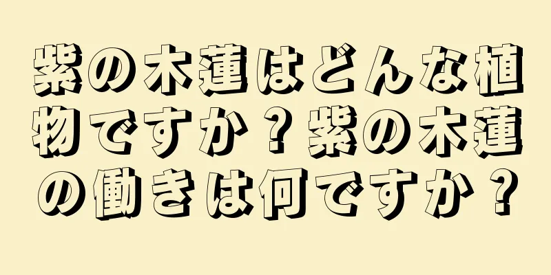 紫の木蓮はどんな植物ですか？紫の木蓮の働きは何ですか？