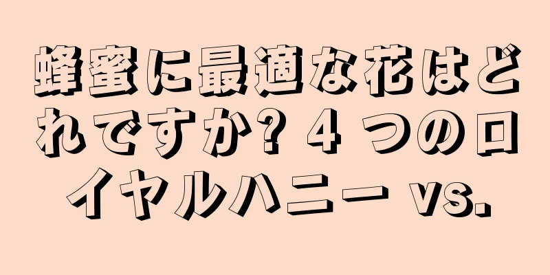 蜂蜜に最適な花はどれですか? 4 つのロイヤルハニー vs.