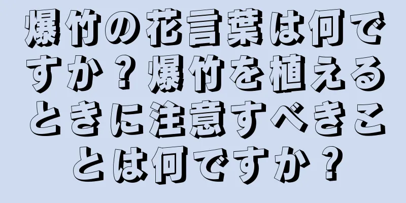 爆竹の花言葉は何ですか？爆竹を植えるときに注意すべきことは何ですか？