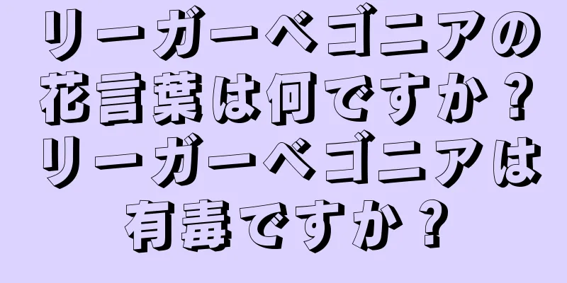 リーガーベゴニアの花言葉は何ですか？リーガーベゴニアは有毒ですか？
