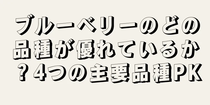 ブルーベリーのどの品種が優れているか？4つの主要品種PK
