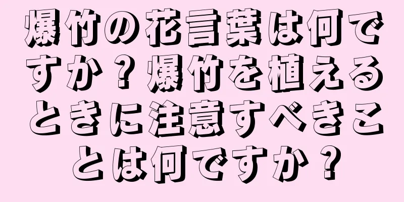 爆竹の花言葉は何ですか？爆竹を植えるときに注意すべきことは何ですか？