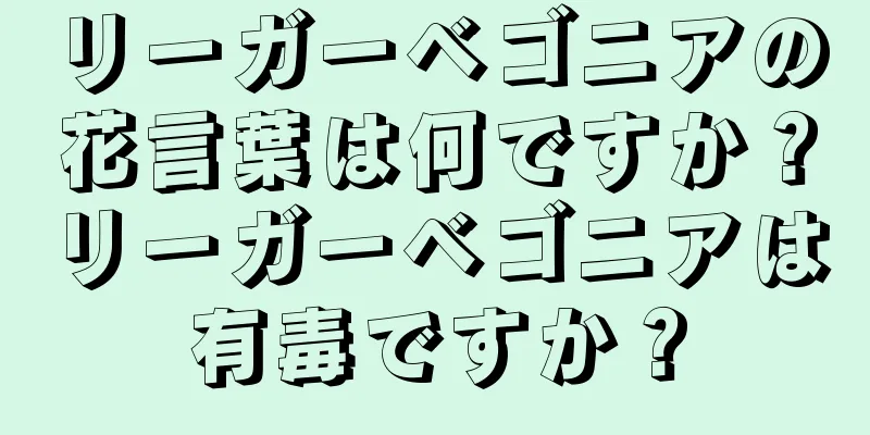 リーガーベゴニアの花言葉は何ですか？リーガーベゴニアは有毒ですか？