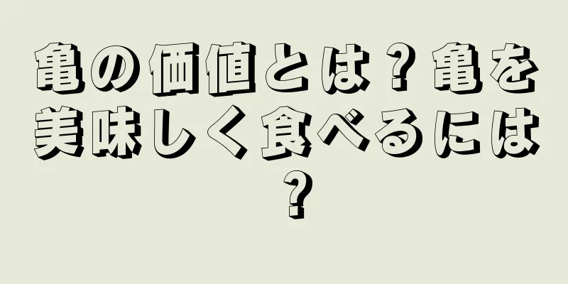 亀の価値とは？亀を美味しく食べるには？