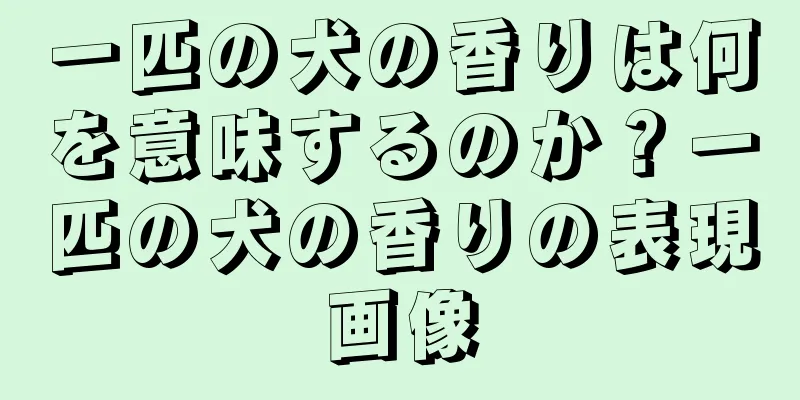 一匹の犬の香りは何を意味するのか？一匹の犬の香りの表現画像