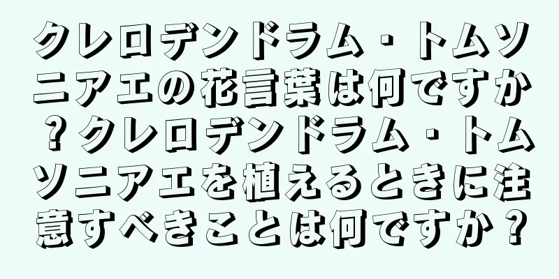 クレロデンドラム・トムソニアエの花言葉は何ですか？クレロデンドラム・トムソニアエを植えるときに注意すべきことは何ですか？