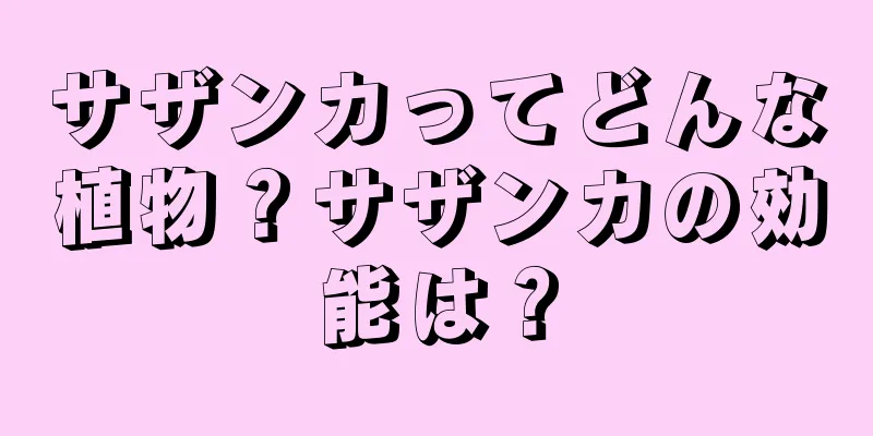 サザンカってどんな植物？サザンカの効能は？