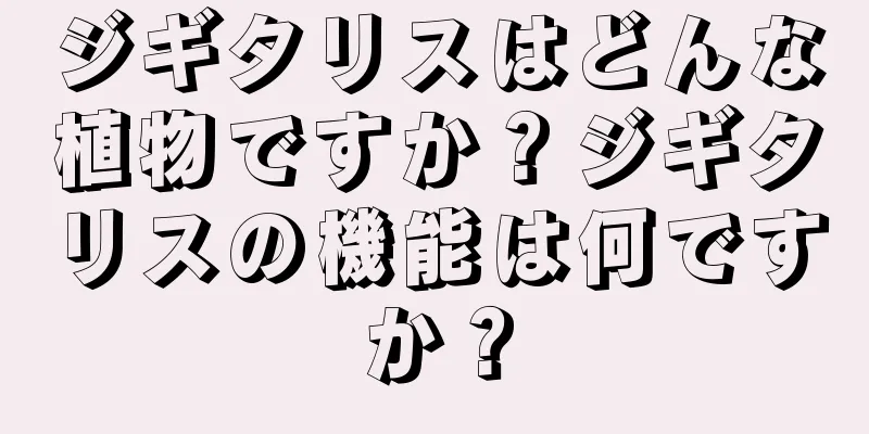 ジギタリスはどんな植物ですか？ジギタリスの機能は何ですか？