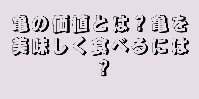 亀の価値とは？亀を美味しく食べるには？