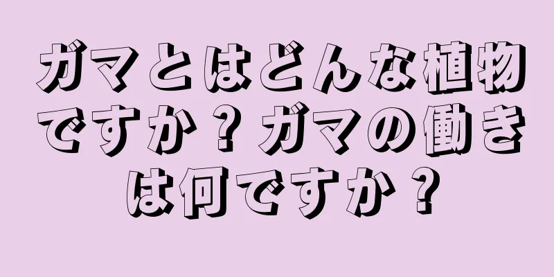 ガマとはどんな植物ですか？ガマの働きは何ですか？