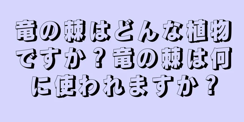 竜の棘はどんな植物ですか？竜の棘は何に使われますか？