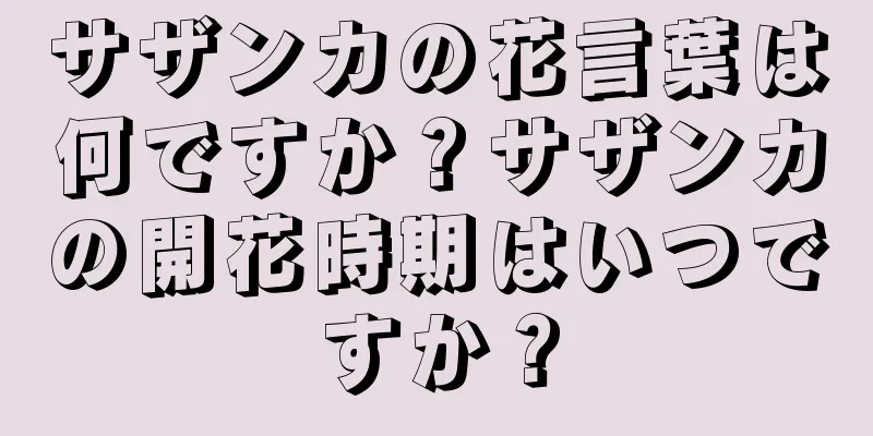 サザンカの花言葉は何ですか？サザンカの開花時期はいつですか？