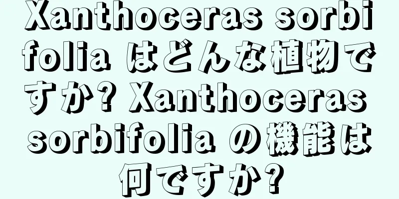 Xanthoceras sorbifolia はどんな植物ですか? Xanthoceras sorbifolia の機能は何ですか?