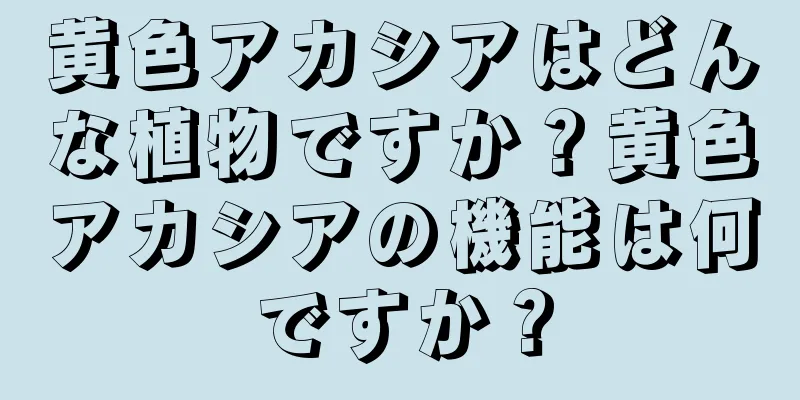 黄色アカシアはどんな植物ですか？黄色アカシアの機能は何ですか？