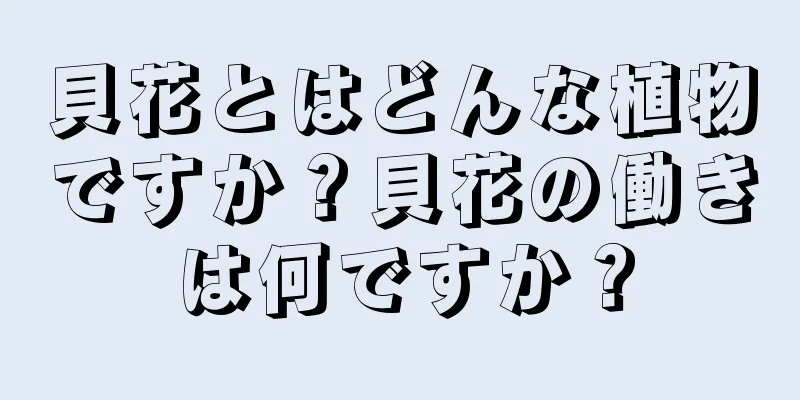 貝花とはどんな植物ですか？貝花の働きは何ですか？