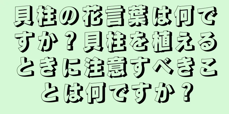 貝柱の花言葉は何ですか？貝柱を植えるときに注意すべきことは何ですか？