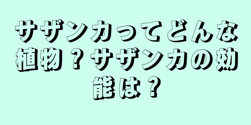 サザンカってどんな植物？サザンカの効能は？