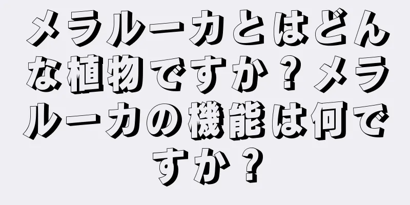 メラルーカとはどんな植物ですか？メラルーカの機能は何ですか？