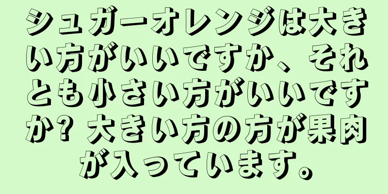 シュガーオレンジは大きい方がいいですか、それとも小さい方がいいですか? 大きい方の方が果肉が入っています。