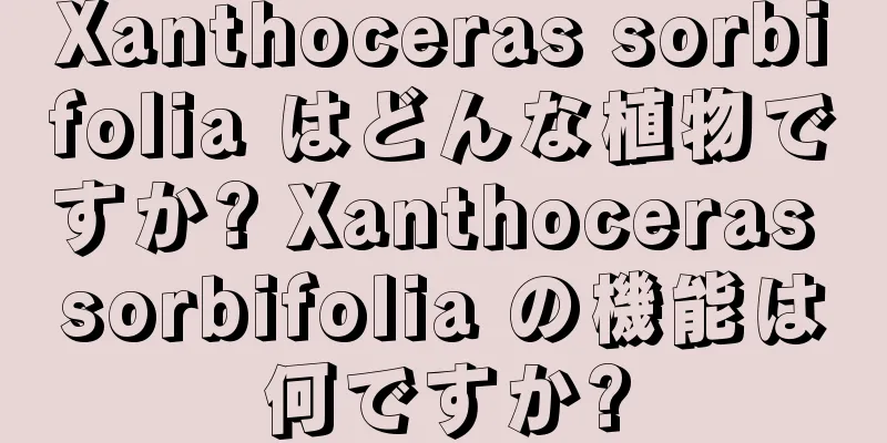 Xanthoceras sorbifolia はどんな植物ですか? Xanthoceras sorbifolia の機能は何ですか?