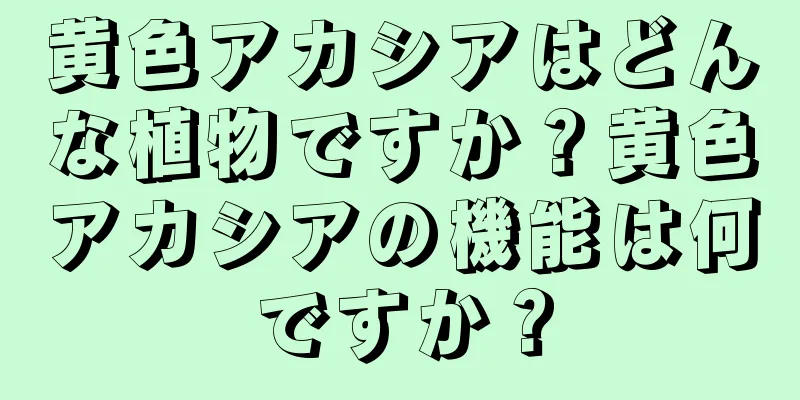 黄色アカシアはどんな植物ですか？黄色アカシアの機能は何ですか？