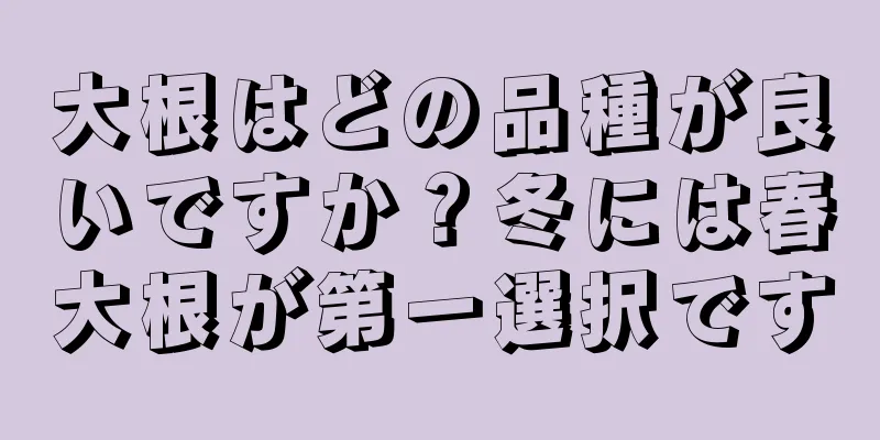 大根はどの品種が良いですか？冬には春大根が第一選択です