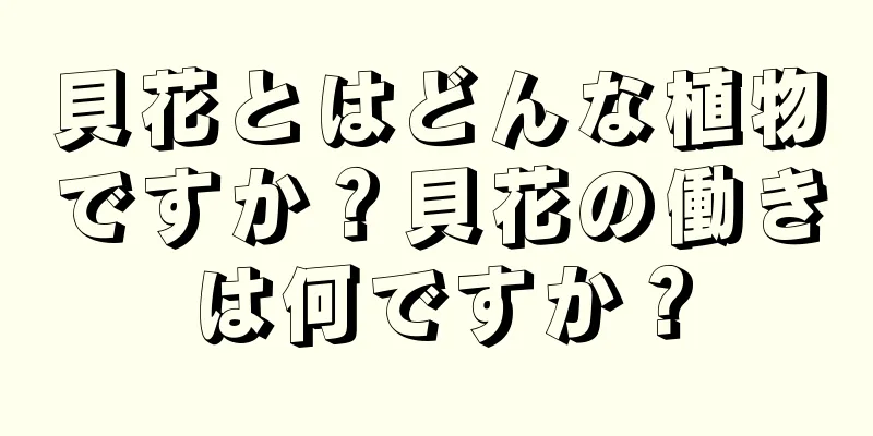 貝花とはどんな植物ですか？貝花の働きは何ですか？