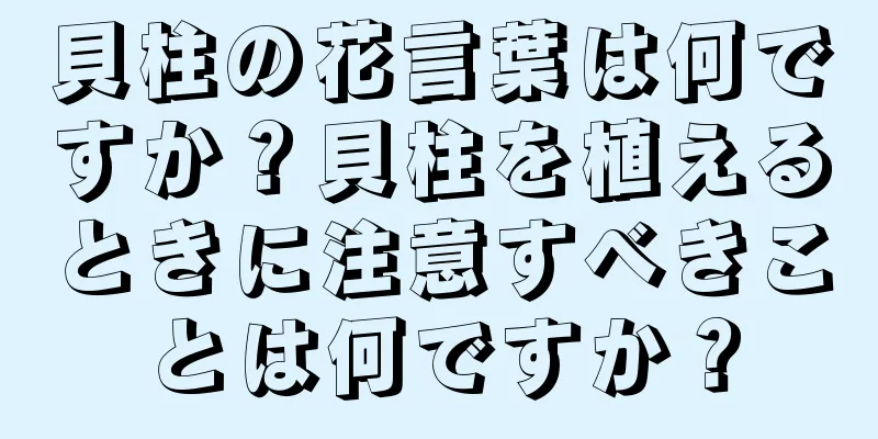 貝柱の花言葉は何ですか？貝柱を植えるときに注意すべきことは何ですか？