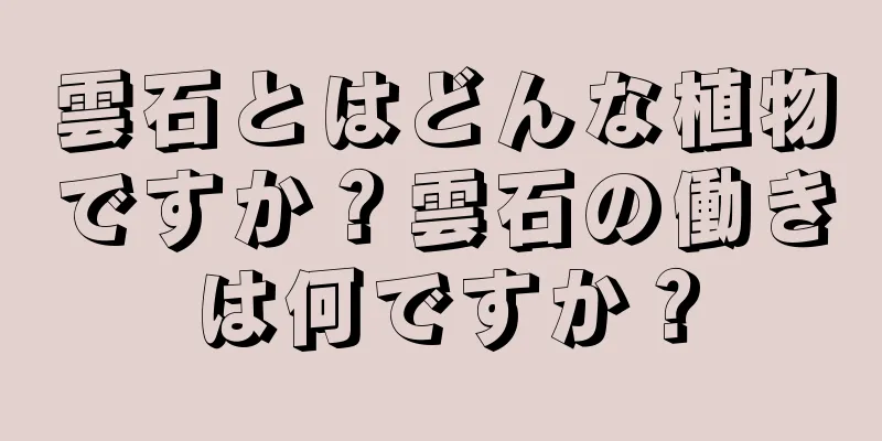 雲石とはどんな植物ですか？雲石の働きは何ですか？