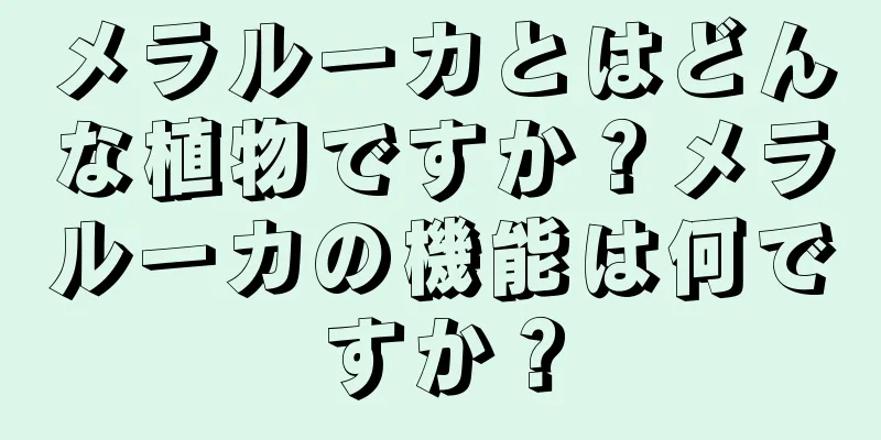 メラルーカとはどんな植物ですか？メラルーカの機能は何ですか？