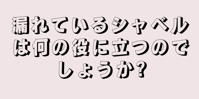 漏れているシャベルは何の役に立つのでしょうか?