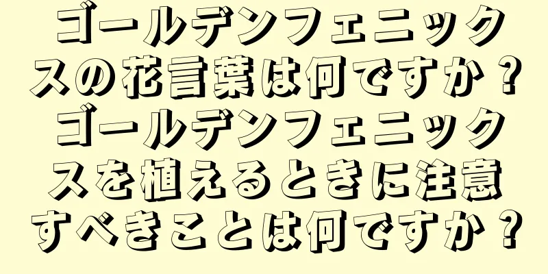 ゴールデンフェニックスの花言葉は何ですか？ゴールデンフェニックスを植えるときに注意すべきことは何ですか？