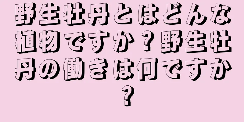 野生牡丹とはどんな植物ですか？野生牡丹の働きは何ですか？
