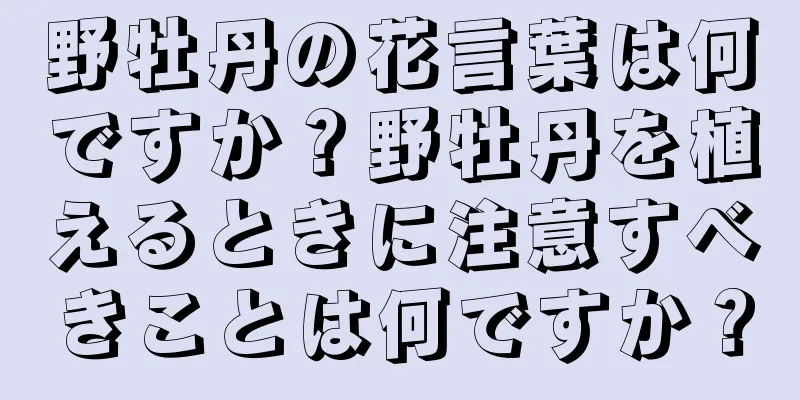 野牡丹の花言葉は何ですか？野牡丹を植えるときに注意すべきことは何ですか？