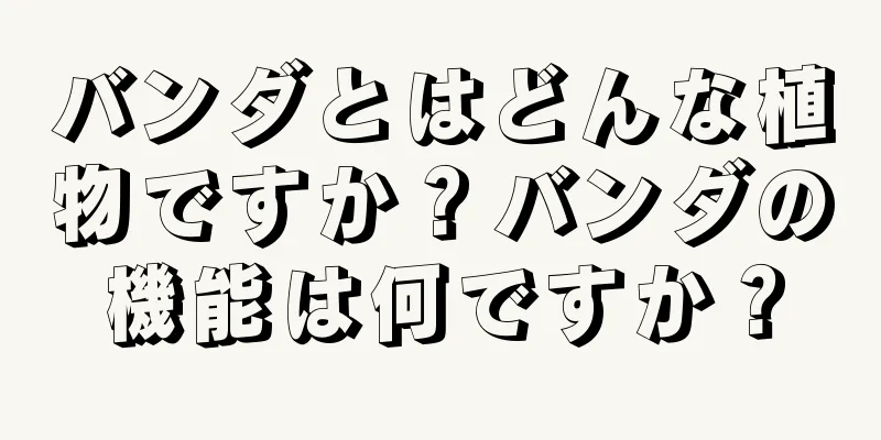 バンダとはどんな植物ですか？バンダの機能は何ですか？