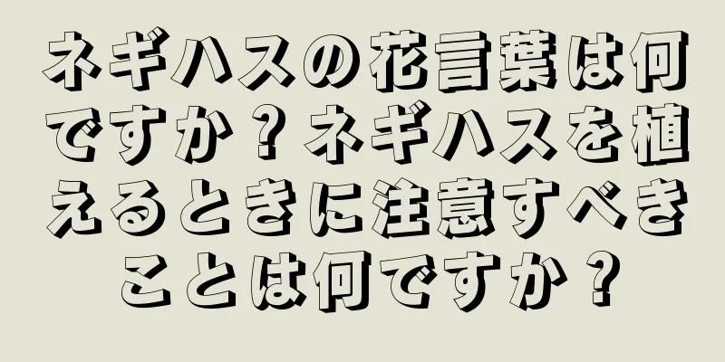 ネギハスの花言葉は何ですか？ネギハスを植えるときに注意すべきことは何ですか？