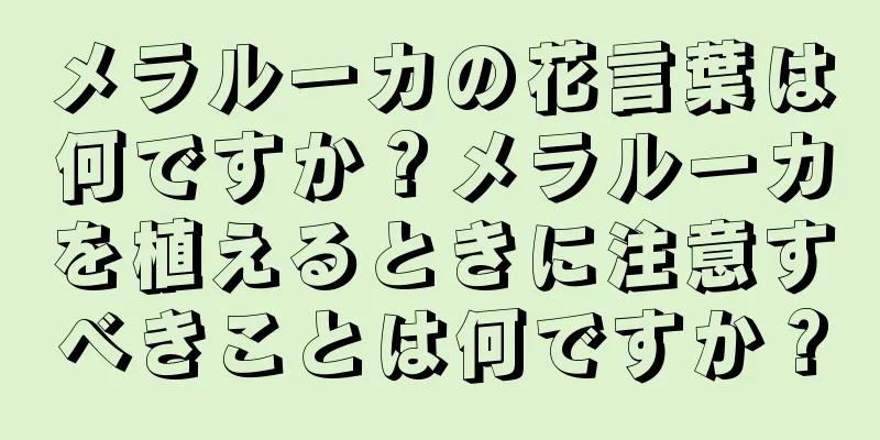 メラルーカの花言葉は何ですか？メラルーカを植えるときに注意すべきことは何ですか？