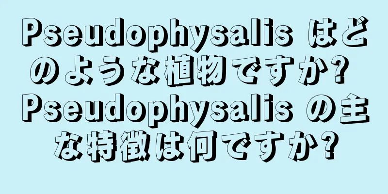 Pseudophysalis はどのような植物ですか? Pseudophysalis の主な特徴は何ですか?