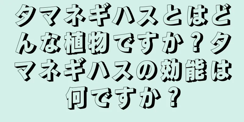 タマネギハスとはどんな植物ですか？タマネギハスの効能は何ですか？